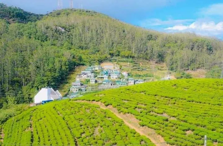 Guest house Aloka Home Stay Nuwara Eliya Sri Lanka